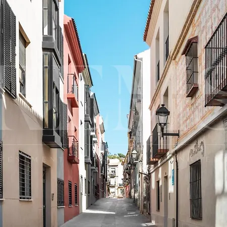 Apartment Romantic In The Center By Rems Malaga